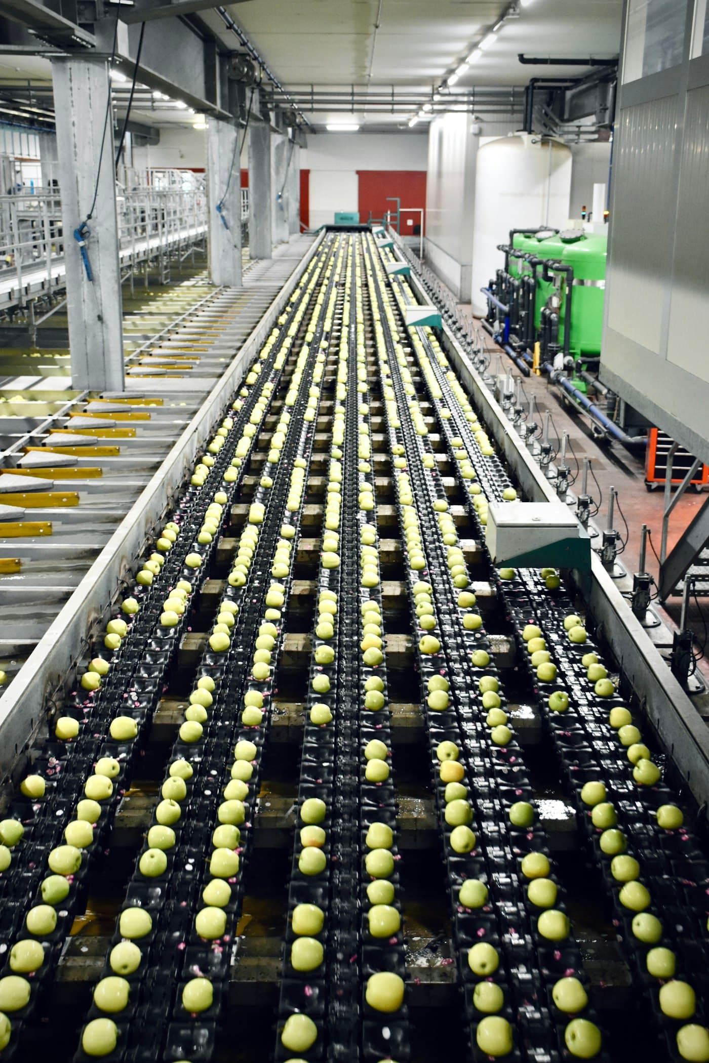Case Study: Malaysian Honey Brand Scales 8x with Servo Filling Line