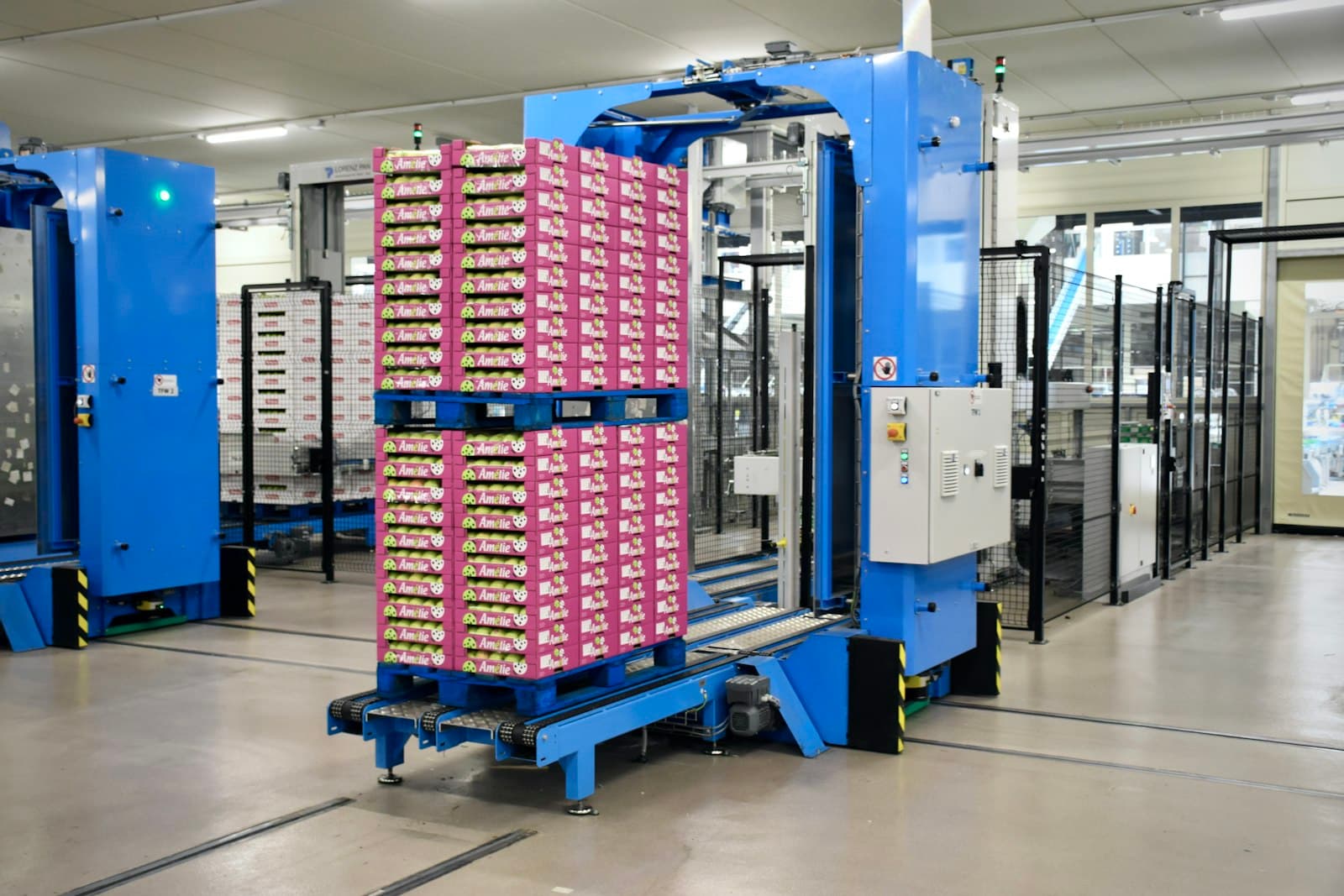 Fanuc M-410iC/185 - 3