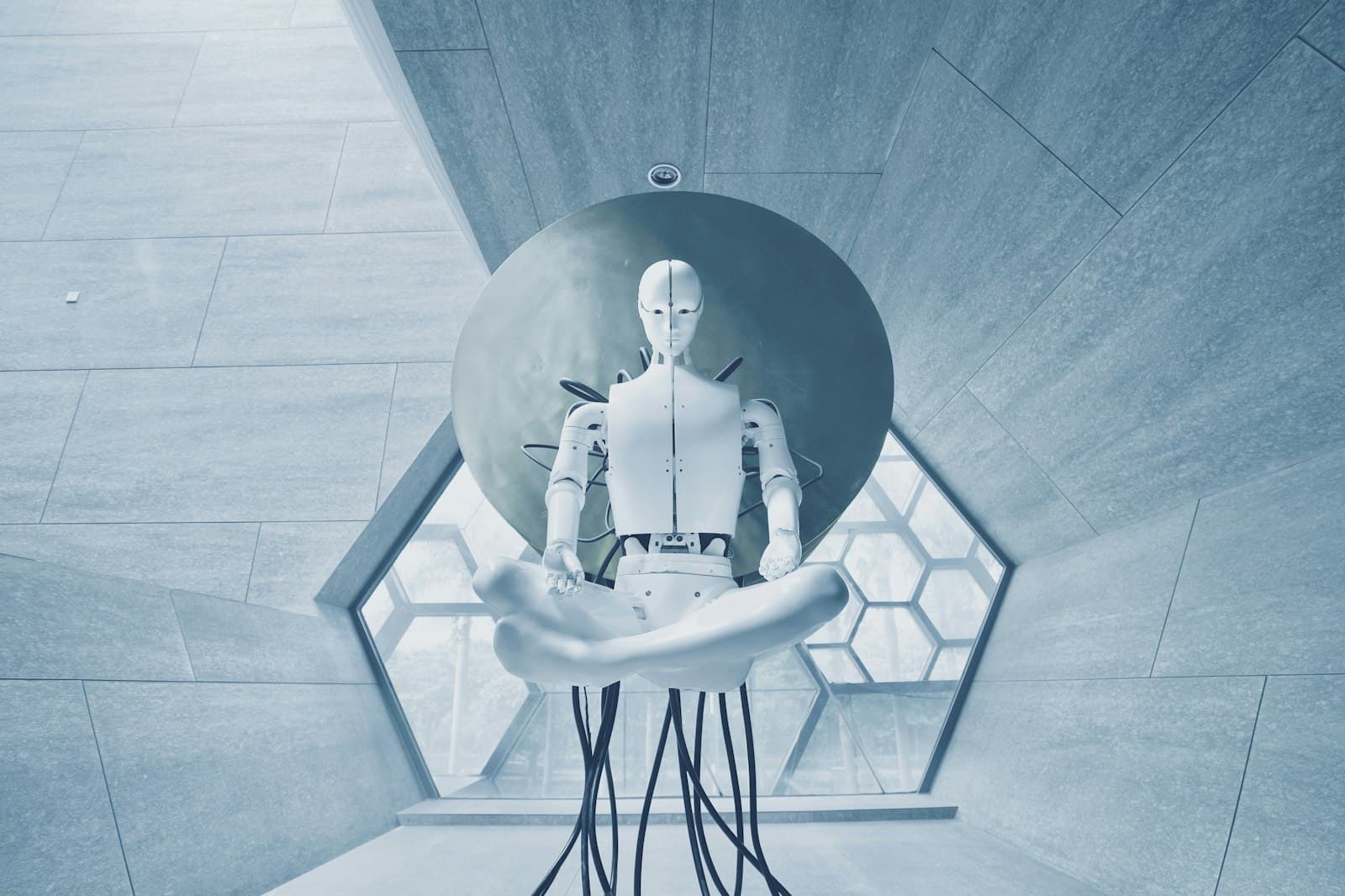 UNITREE ROBOTICS H1